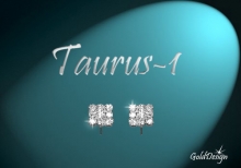Taurus I. - náušnice stříbřené